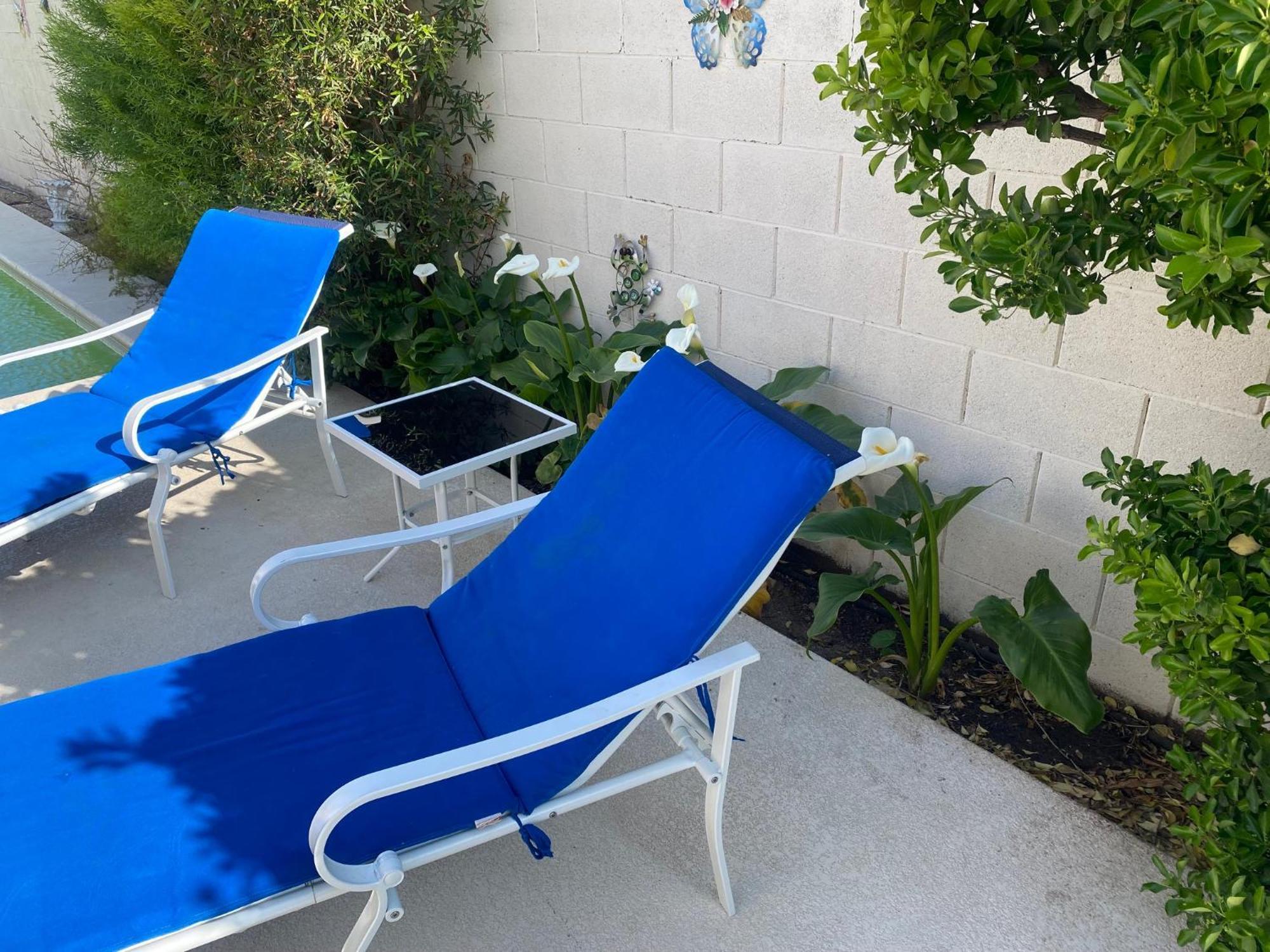לאס וגאס Luxury 1900 Sq Ft House Huge 46 Ft Pool & Hot Spa מראה חיצוני תמונה